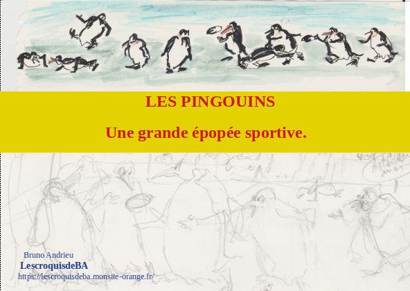 Courverture pingouins 1