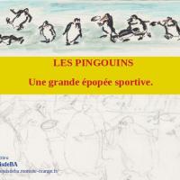 Courverture pingouins 1